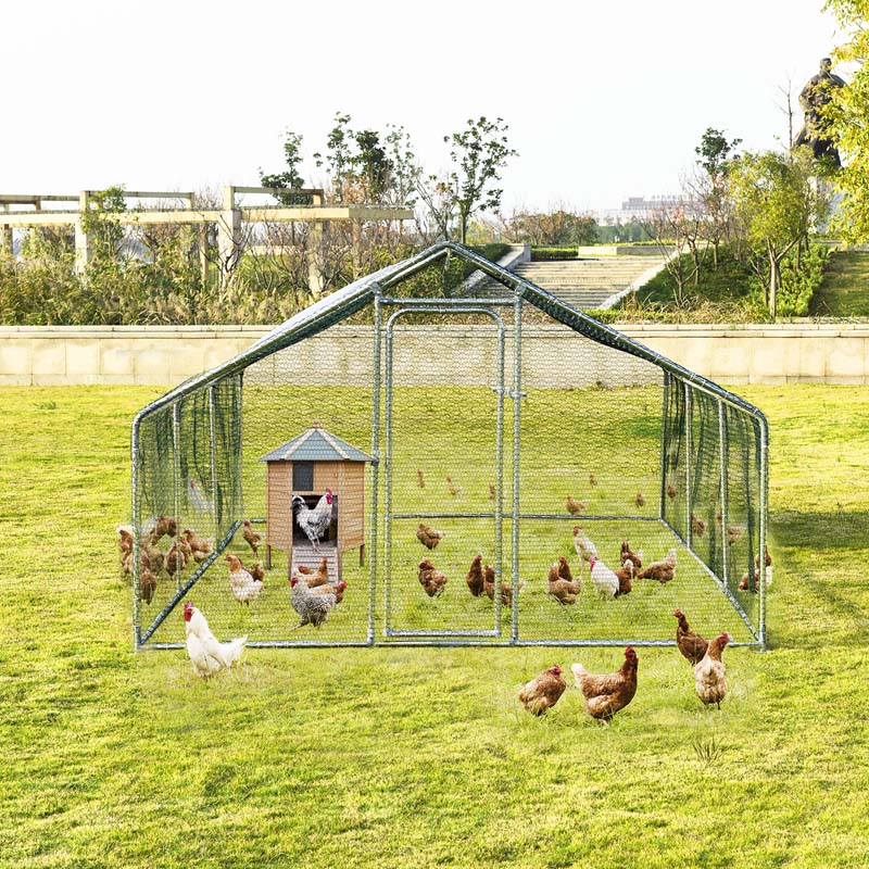 Eletriclife 10 x 20 Feet Large Walk in Chicken Coop Cage with Roof Cover